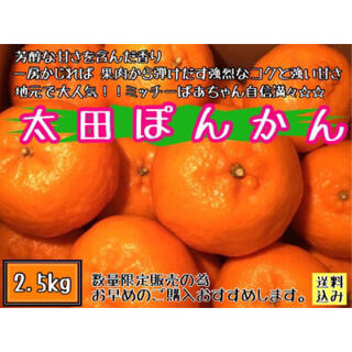 ●【愛媛えひめ産】●フルーツ 果物 くだもの 果実 柑橘 みかん 《ポンカン》(フルーツ)