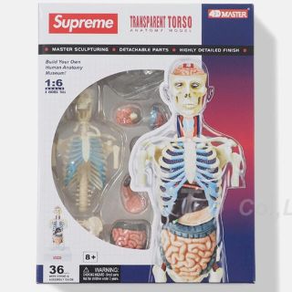 シュプリーム(Supreme)のsupreme Male Anatomy Model 18aw(模型/プラモデル)