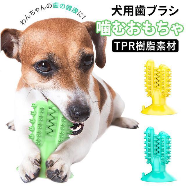 犬歯ブラシ噛みおもちゃ ds423 その他のペット用品(犬)の商品写真