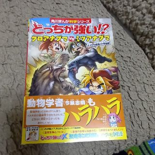 どっちが強い　クロアナグマVSミツアナグマ(絵本/児童書)