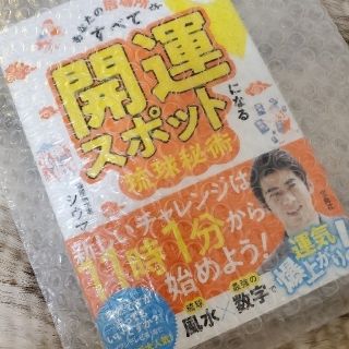 クーポン必須❣シウマさんの新書(趣味/スポーツ/実用)