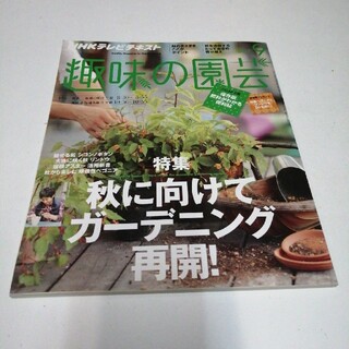 NHK 趣味の園芸 2013年 09月号(その他)