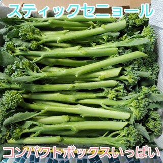 スティックセニョール コンパクト(野菜)