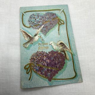 アンティーク ポストカード 白い鳥 紫の花 C378(その他)