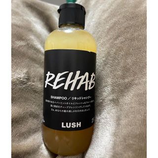 ラッシュ(LUSH)のラッシュ　リキッドシャンプー 果草力　250g(シャンプー)