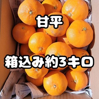 愛媛県産　甘平　訳あり家庭用　箱込み約3㎏　柑橘　ミカン(フルーツ)