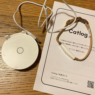 catlog home+pendant【L】※難あり(その他)