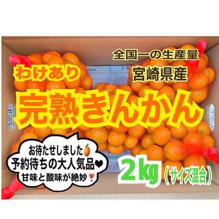 【限定❣️訳あり】完熟きんかん2㎏/金柑　キンカン　みかん　果物　国産レモン　(フルーツ)