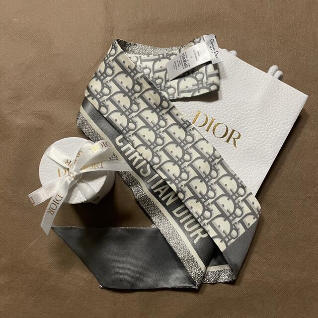 Dior ミッツァ オブリーク グレー/SNIDEL オーガンシースルーブラウス