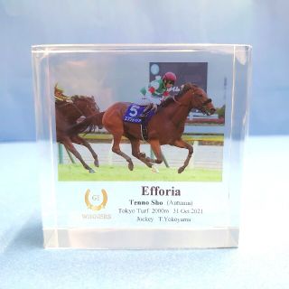 【新品】アクリルオブジェ エフフォーリア ウマ娘 競馬 ぬいぐるみ 天皇賞秋(ぬいぐるみ)