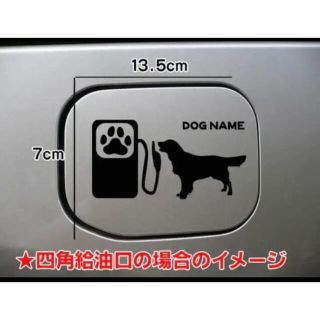 【送料無料】ゴールデンレトリバー  給油口 ステッカー リアガラス 車 犬(犬)