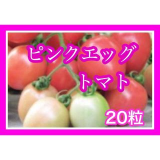 ピンクエッグトマトの種20粒(その他)