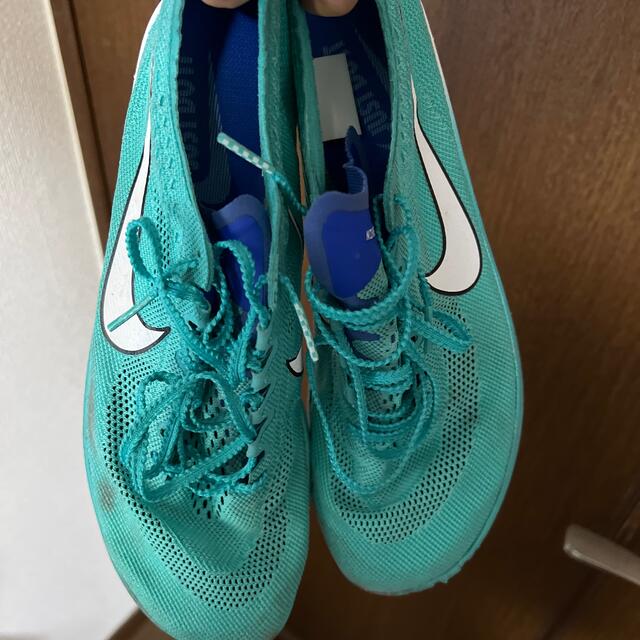 NIKE ドラゴンフライ　27.5