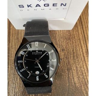 スカーゲン(SKAGEN)の【SKAGEN スカーゲン】メンズ腕時計(腕時計(アナログ))