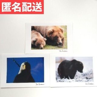 園原徹 写真 アラスカ 写真家 フォトグラファー(印刷物)