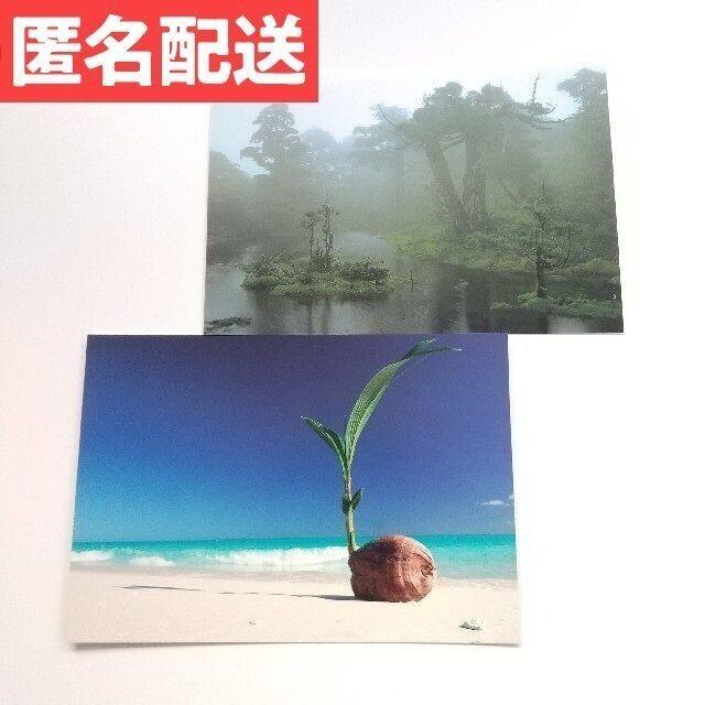 三好和義 ポストカード 写真家 フォトグラファー エンタメ/ホビーのコレクション(印刷物)の商品写真