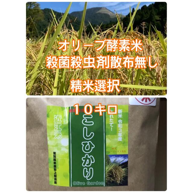 値下げ オリーブ米 近江米コシヒカリ 殺虫剤殺菌剤散布無　玄米10キロ 精米選べ