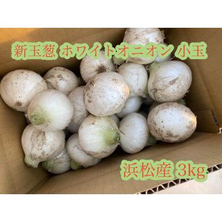 #1  新玉葱 ホワイトオニオン 小玉  静岡県 浜松産 3kg(野菜)