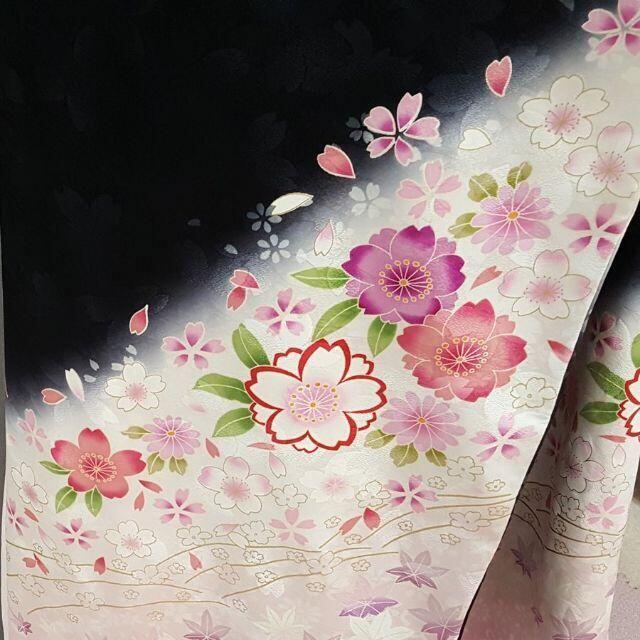 成人式・結婚式に　正絹振袖　黒地と白地の染め分け　桜の古典柄