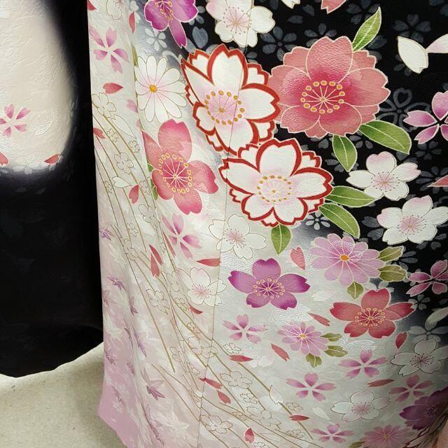 成人式・結婚式に　正絹振袖　黒地と白地の染め分け　桜の古典柄