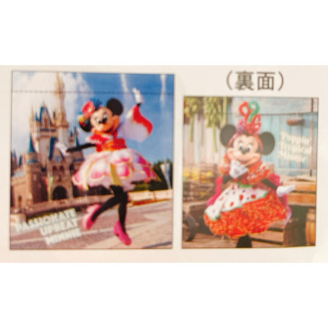 Disney(ディズニー)のトータリーミニーマウス　巾着（単品） エンタメ/ホビーのおもちゃ/ぬいぐるみ(キャラクターグッズ)の商品写真