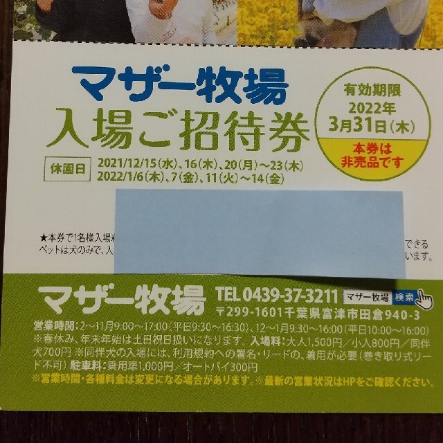 マザー牧場☆３月末までチケット４枚 チケットの施設利用券(遊園地/テーマパーク)の商品写真