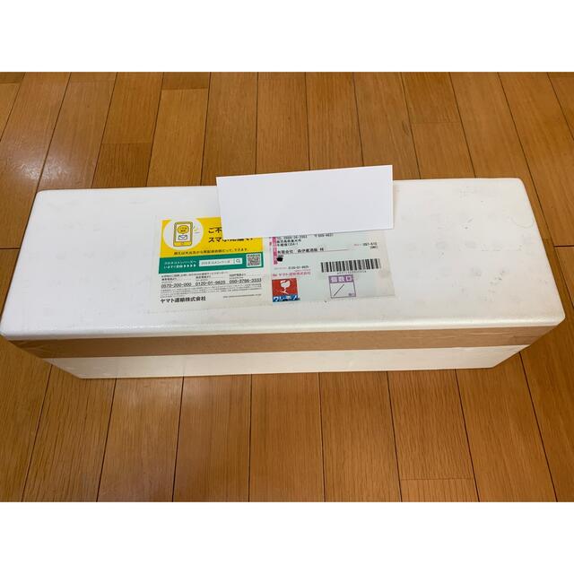森伊蔵 1,800ml 1/16到着分-