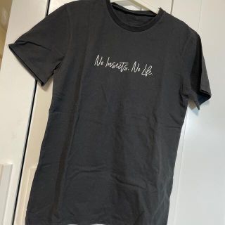 シップス(SHIPS)のインセクトコレクション　Tシャツ　大人Sサイズ　香川照之(Tシャツ(半袖/袖なし))