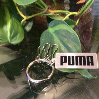 プーマ(PUMA)の★PUMA　キーリング　プーマ　キーホルダー(キーホルダー)