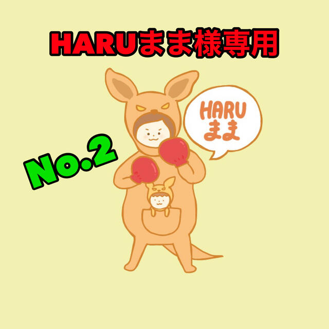 HARUまま様専用 1/22 No.2 売れ筋商品 4398円引き www.gold-and-wood.com