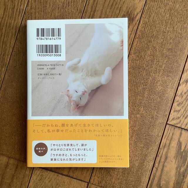 猫があなたに伝えたいこと エンタメ/ホビーの本(住まい/暮らし/子育て)の商品写真