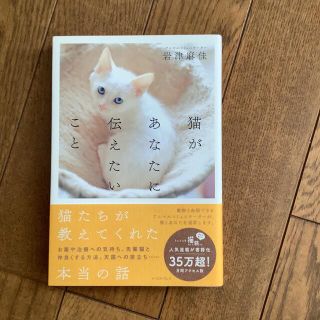 猫があなたに伝えたいこと(住まい/暮らし/子育て)