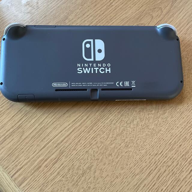 Switchライト　グレー 2