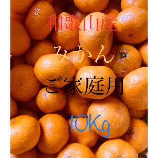 和歌山産蔵出しみかんご家庭用 10Kg(フルーツ)