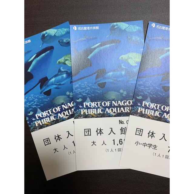 限定数のみ 名古屋港水族館 通販 名古屋港水族館チケット 大人2枚