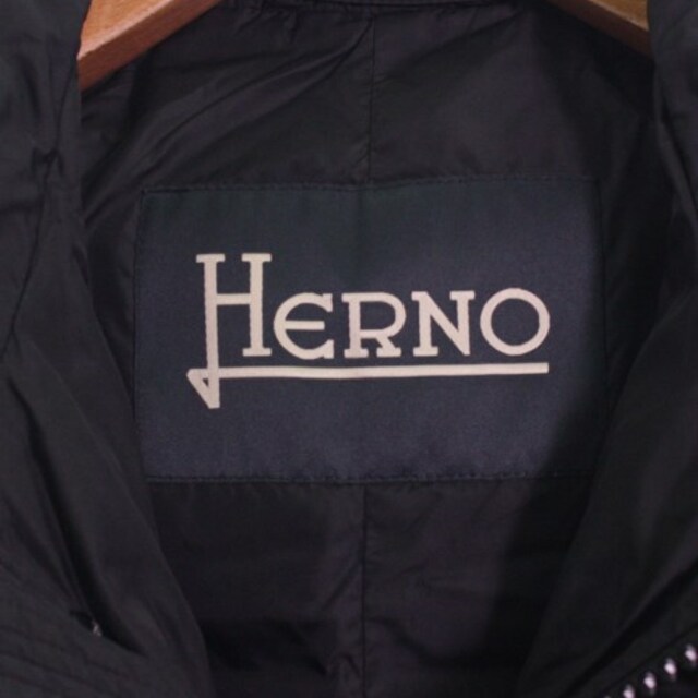 HERNO ダウンコート メンズ 2