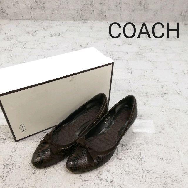 COACH(コーチ)のCOACH コーチ パンプス レディースの靴/シューズ(ハイヒール/パンプス)の商品写真