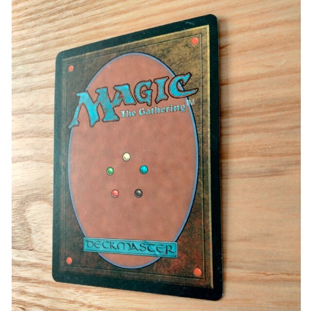 マジック：ザ・ギャザリング(マジックザギャザリング)のマジック：ザ・ギャザリング 不毛の大地 エンタメ/ホビーのトレーディングカード(シングルカード)の商品写真