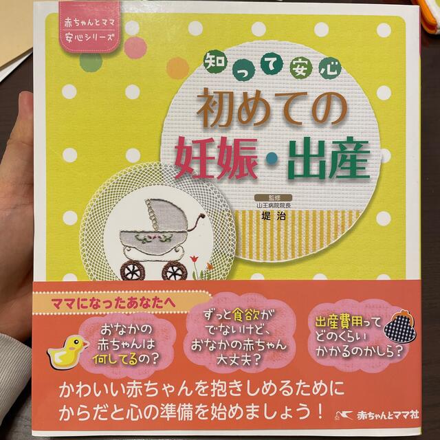 知って安心初めての妊娠・出産 エンタメ/ホビーの雑誌(結婚/出産/子育て)の商品写真