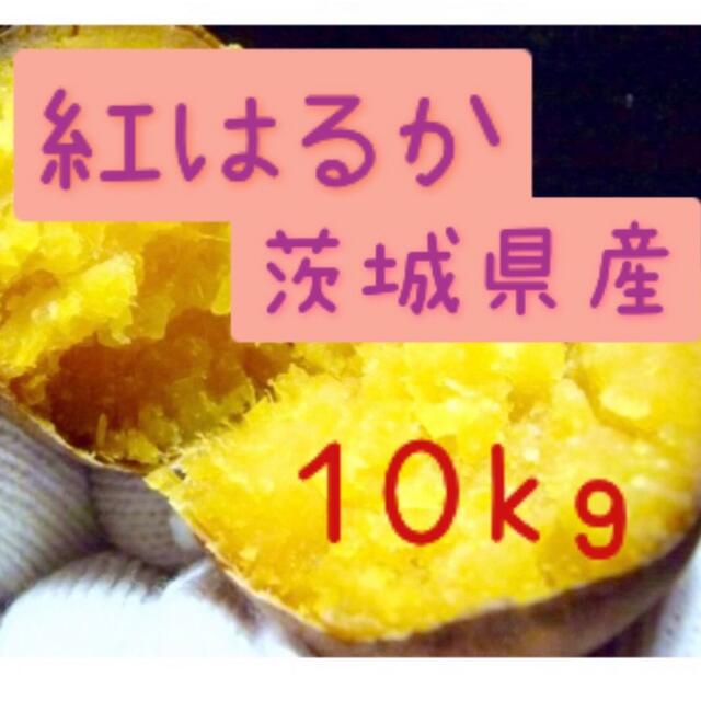 さつまいも　紅はるか　10kg    食品/飲料/酒の食品(野菜)の商品写真