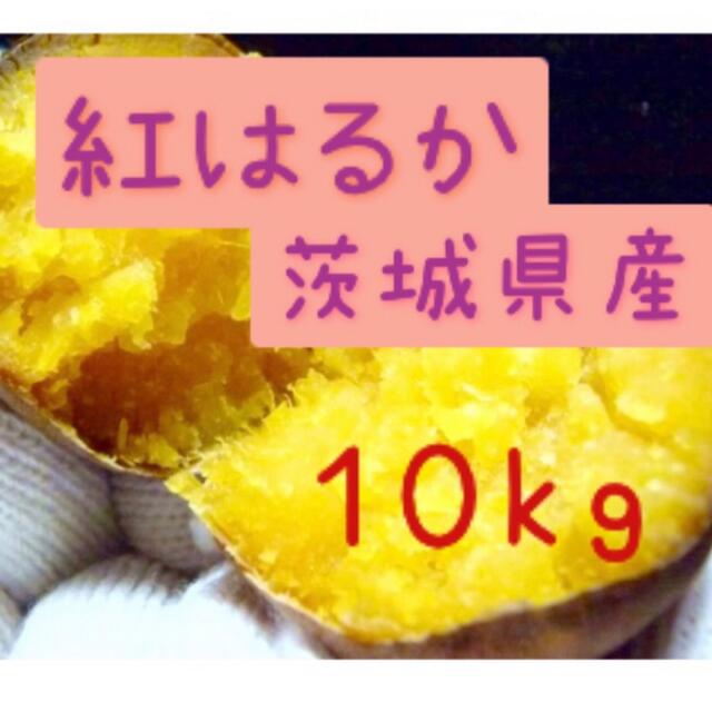 さつまいも　紅はるか　10kg    食品/飲料/酒の食品(野菜)の商品写真