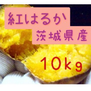 さつまいも　紅はるか　10kg   (野菜)