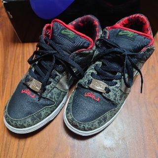 【27cm】NIKE DUNK sb sbtg【付属品完備】(スニーカー)