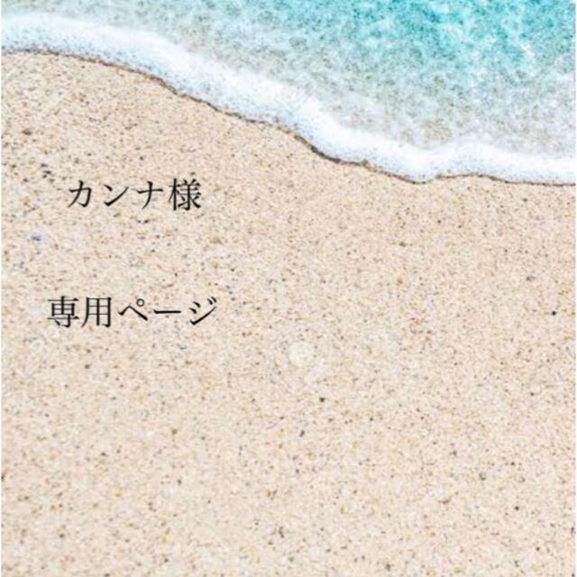 カンナ様 専用ページ ic.sch.id