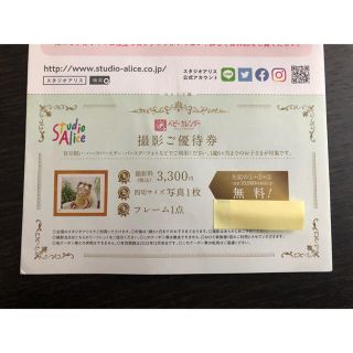 スタジオアリス　撮影優待券(その他)