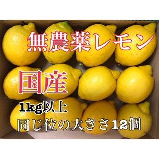 無農薬レモン　12個　1キロ以上　同じ位の大きさセット　無農薬レモン　福岡県産