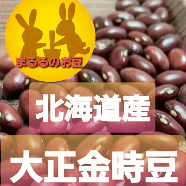 まるる's　北海道産　by　shop｜ラクマ　900g　大正金時豆　令和3年　訳ありの通販