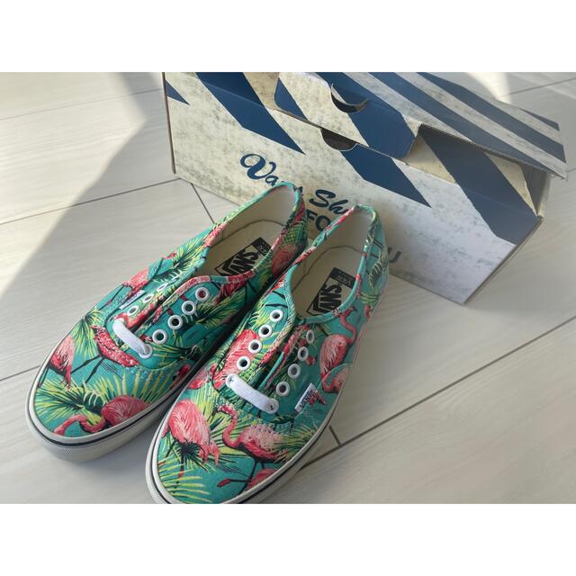 vans オーセンティック フラミンゴ 24.5cm