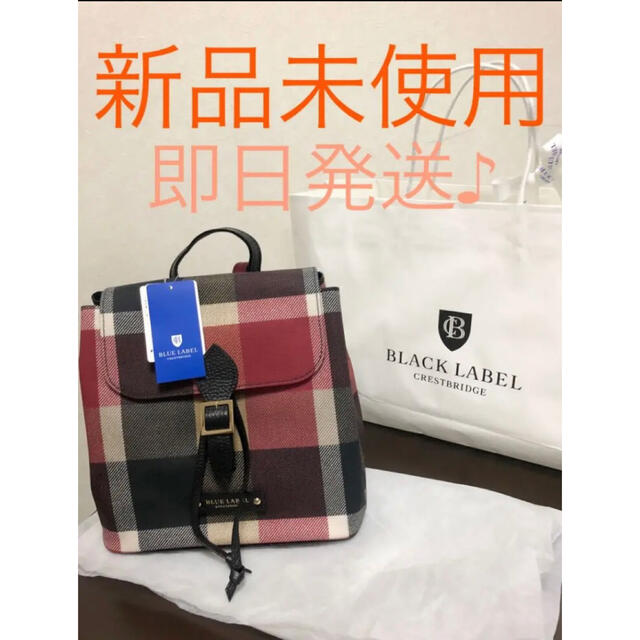 BURBERRY BLUE LABEL(バーバリーブルーレーベル)のブルーレーベル　リュック　バッグ　赤　茶　黒　新品未使用 レディースのバッグ(リュック/バックパック)の商品写真