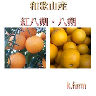 専門店では食品k.farm|フリマアプリ ラクマ